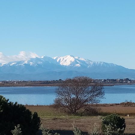 Le Capestang Apartman Canet-en-Roussillon Kültér fotó