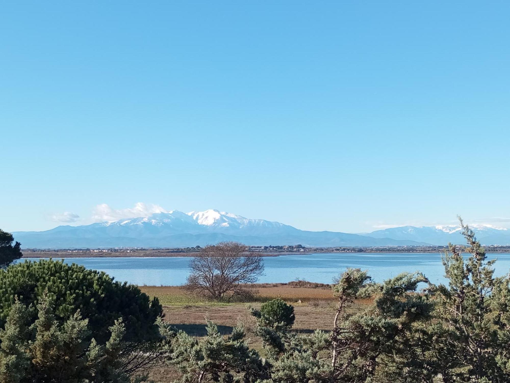 Le Capestang Apartman Canet-en-Roussillon Kültér fotó