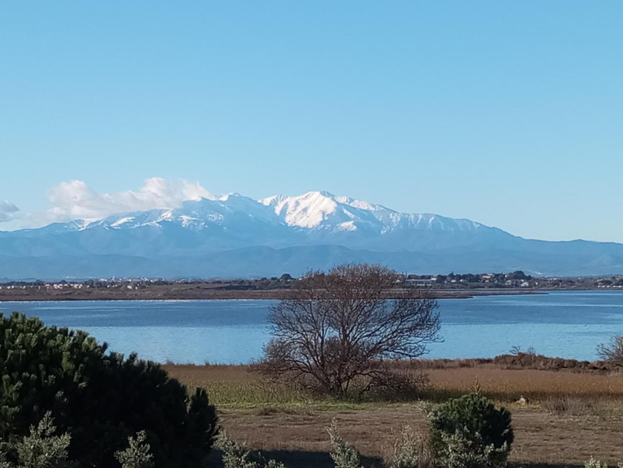 Le Capestang Apartman Canet-en-Roussillon Kültér fotó